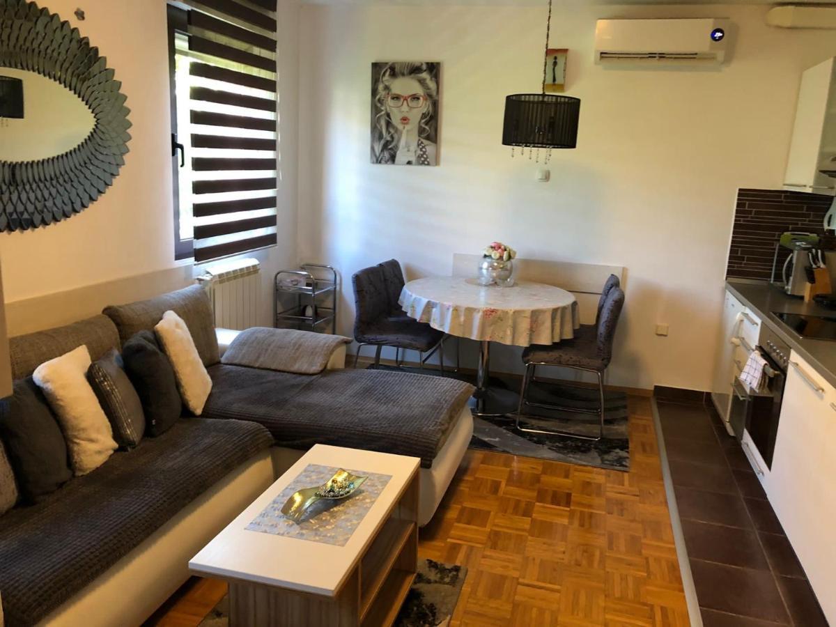 Apartment Sweet Dreams-Close To Zoo,Dinamo Stadium And The City Center ซาเกร็บ ภายนอก รูปภาพ